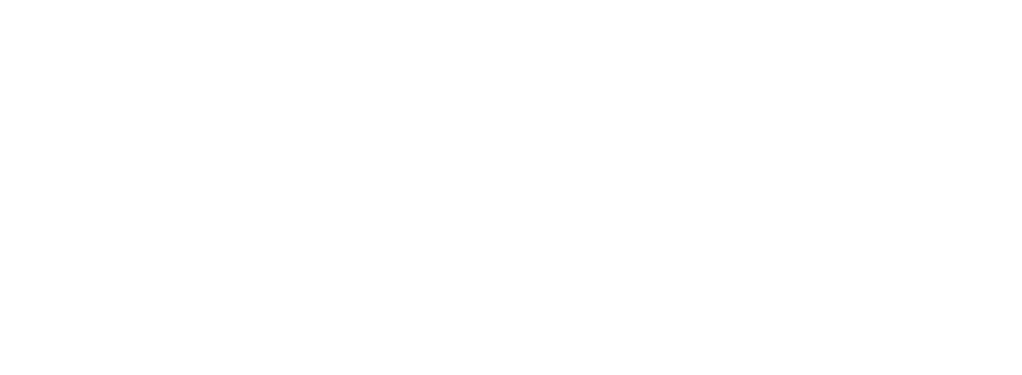 گروه صنایع غذایی سولیکو
